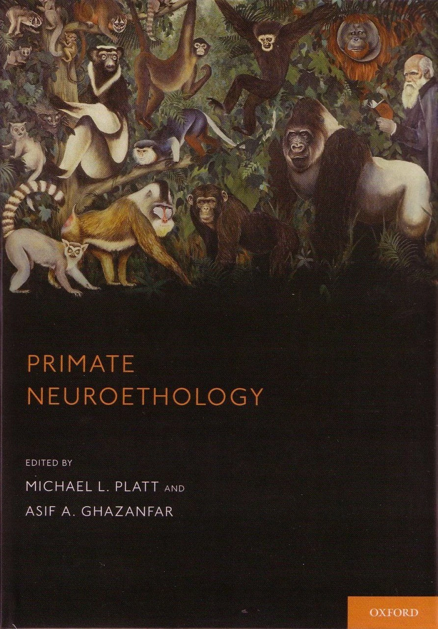 Primate Neuroethology 4 Primate Neuroethology - Image 2