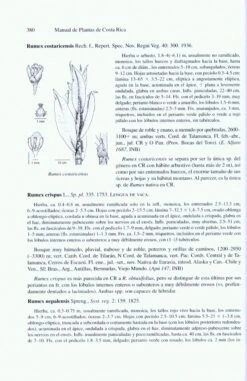 Manual De Plantas De Costa Rica: Volume VII 10 Manual De Plantas De Costa Rica: Volume VII -Wildlife Professional Books 206897 3