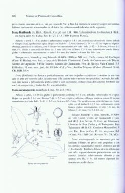 Manual De Plantas De Costa Rica: Volume VII 11 Manual De Plantas De Costa Rica: Volume VII -Wildlife Professional Books 206897 4