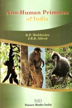 Non-Human Primates Of India