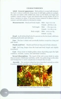 Non-Human Primates Of India 10 Non-Human Primates Of India -Wildlife Professional Books 207415 3