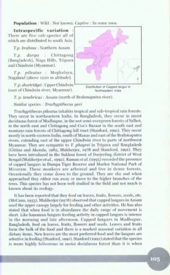 Non-Human Primates Of India 11 Non-Human Primates Of India -Wildlife Professional Books 207415 4