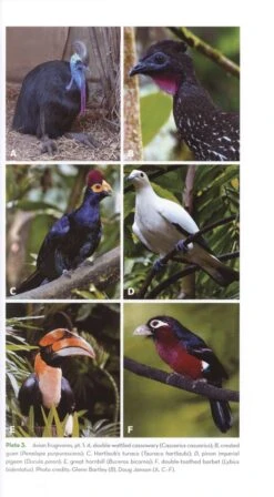 The Ornaments Of Life 11 The Ornaments Of Life -Wildlife Professional Books 207443 1