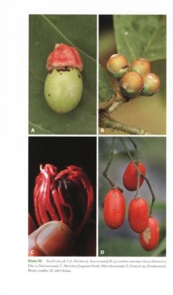 The Ornaments Of Life 13 The Ornaments Of Life -Wildlife Professional Books 207443 3