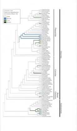 The Ornaments Of Life 14 The Ornaments Of Life -Wildlife Professional Books 207443 4