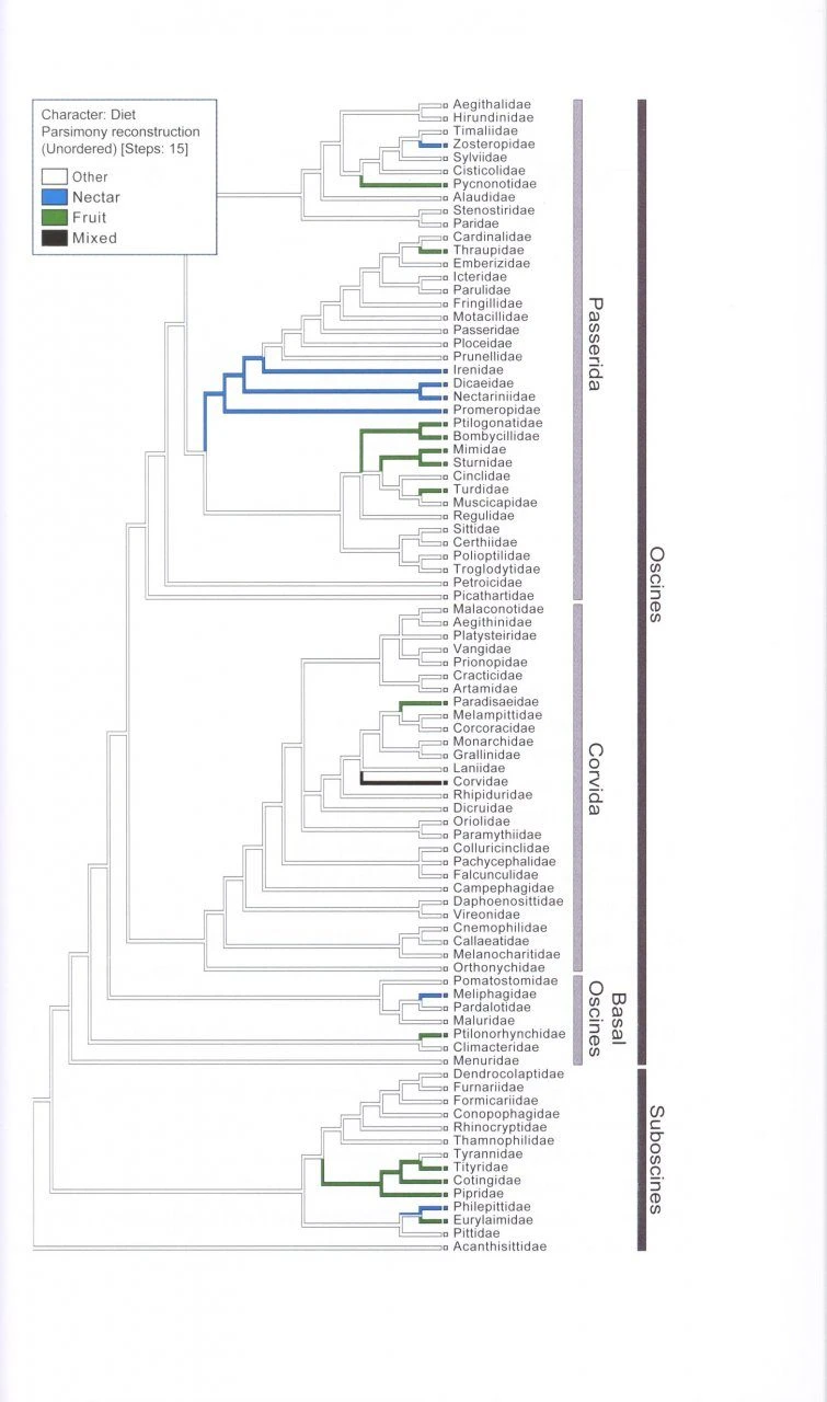 The Ornaments Of Life 8 The Ornaments Of Life - Image 6