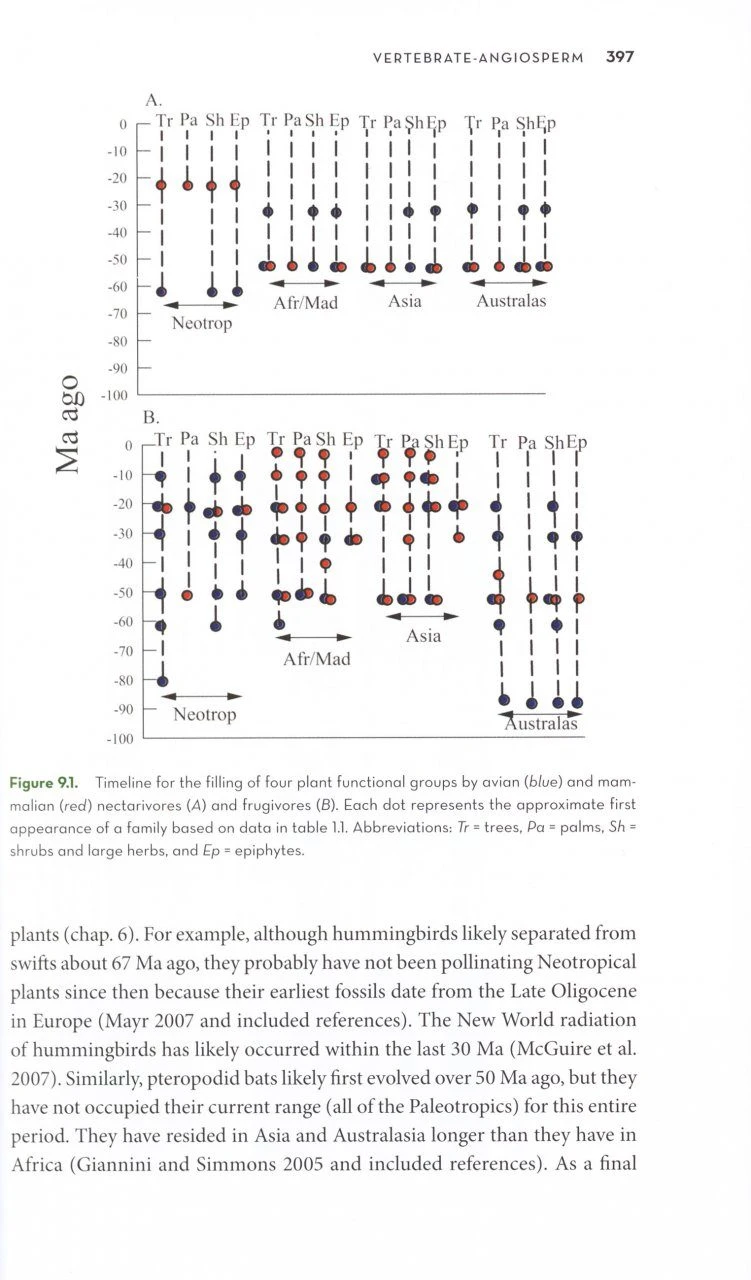 The Ornaments Of Life 9 The Ornaments Of Life - Image 7