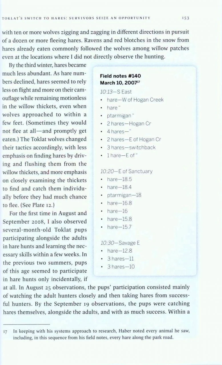 Among Wolves 5 Among Wolves - Image 3