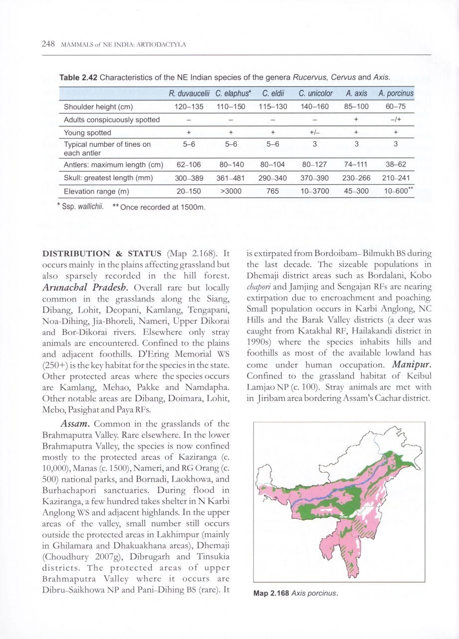 The Mammals Of North East India 6 The Mammals Of North East India - Image 4