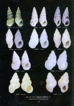 An Illustrated Guide To Species In China's Seas, Volume 4 [Chinese] -Wildlife Professional Books 207829 2