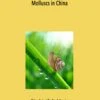 Research Materials Of Terrestrial Molluscs In China -Wildlife Professional Books 207830