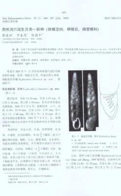 Research Materials Of Terrestrial Molluscs In China 8 Research Materials Of Terrestrial Molluscs In China -Wildlife Professional Books 207830 2