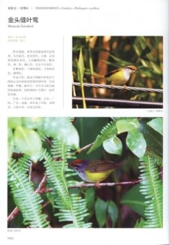 Field Guide To The Birds Of China (3-Volume Set) [Chinese] -Wildlife Professional Books 208109 7