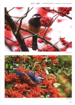 Field Guide To The Birds Of China (3-Volume Set) [Chinese] -Wildlife Professional Books 208109 8