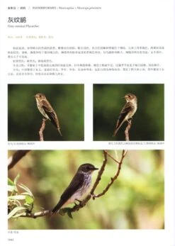 Field Guide To The Birds Of China (3-Volume Set) [Chinese] -Wildlife Professional Books 208109 9