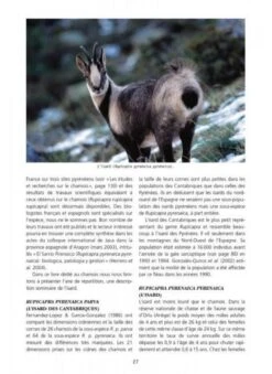Le Chamois: Biologie Et Écologie, Études Dans Le Massif Des Bauges [The Chamois: BIology And Ecology, Studies In The Bauges Mountains] -Wildlife Professional Books 208816 1