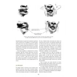 Le Chamois: Biologie Et Écologie, Études Dans Le Massif Des Bauges [The Chamois: BIology And Ecology, Studies In The Bauges Mountains] -Wildlife Professional Books 208816 4