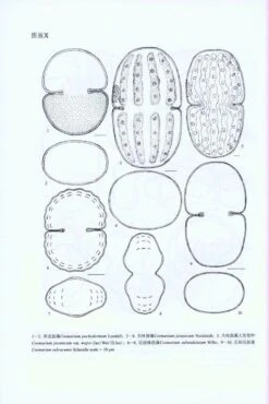 Flora Algarum Sinicarum Aquae Dulcis, Volume 17: Chlorophyta: Desmidiales Desmidiaceae, Sectio II: Actinotaenium, Cosmarium, Cosmocladium [Chinese] -Wildlife Professional Books 208879 2