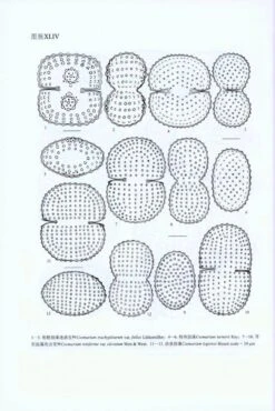 Flora Algarum Sinicarum Aquae Dulcis, Volume 17: Chlorophyta: Desmidiales Desmidiaceae, Sectio II: Actinotaenium, Cosmarium, Cosmocladium [Chinese] -Wildlife Professional Books 208879 3