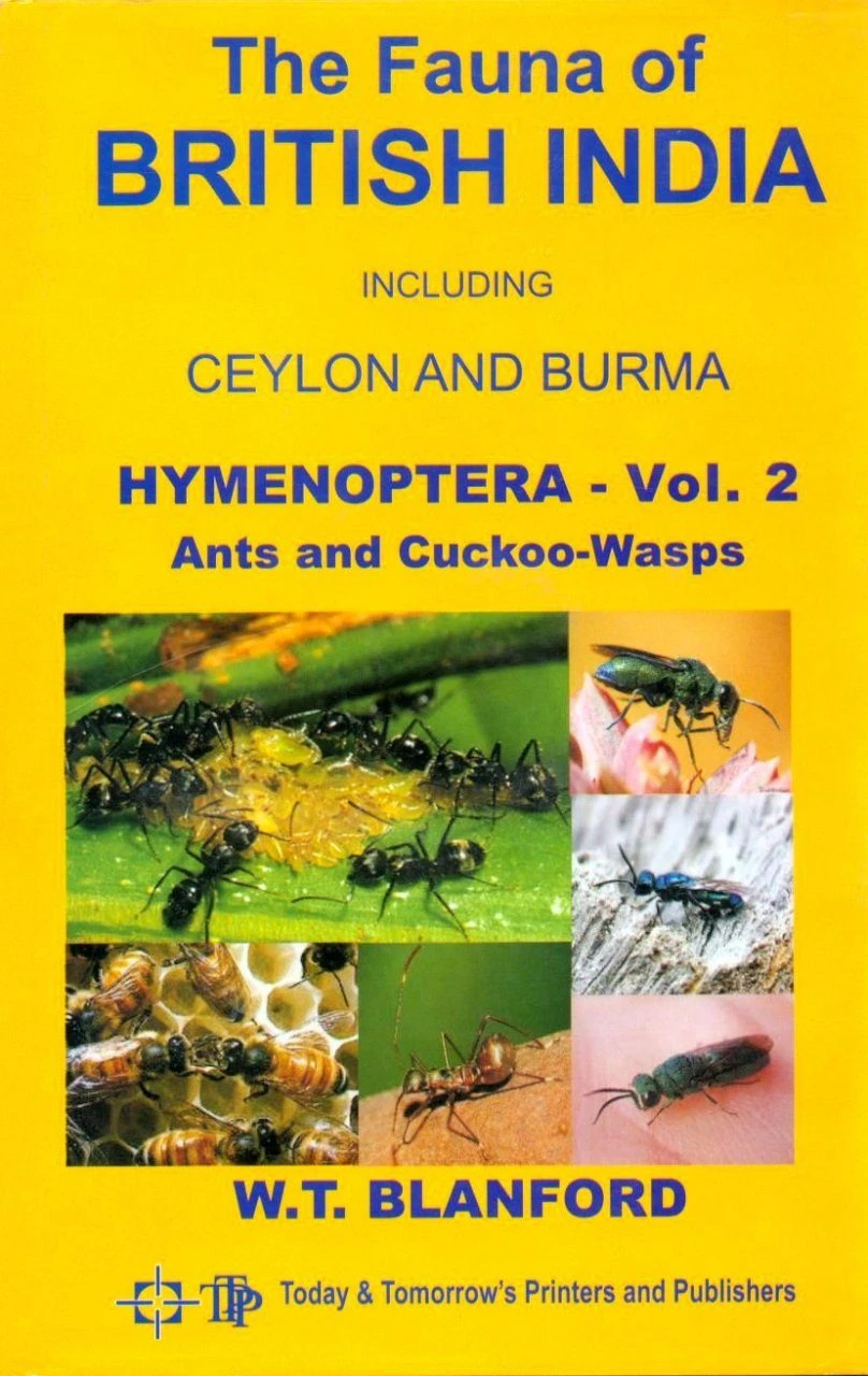 The Fauna Of British India, Hymenoptera (2-Volume Set) 4 The Fauna Of British India, Hymenoptera (2-Volume Set) - Image 2