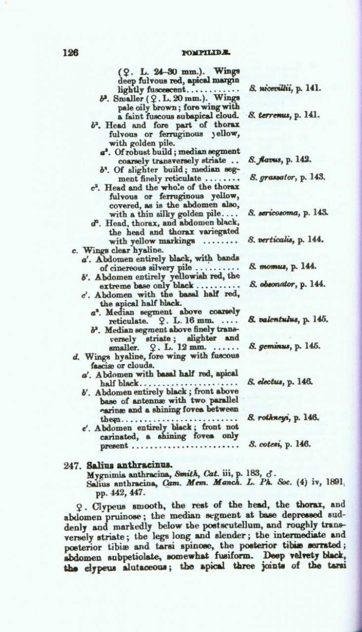 The Fauna Of British India, Hymenoptera (2-Volume Set) 5 The Fauna Of British India, Hymenoptera (2-Volume Set) - Image 3