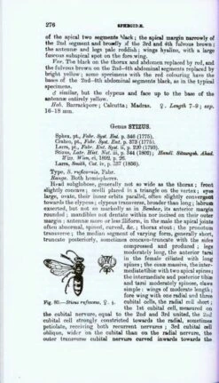 The Fauna Of British India, Hymenoptera (2-Volume Set) 12 The Fauna Of British India, Hymenoptera (2-Volume Set) -Wildlife Professional Books 208912 3