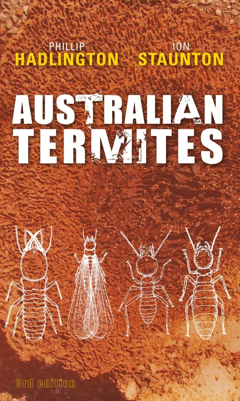 Australian Termites 3 Australian Termites