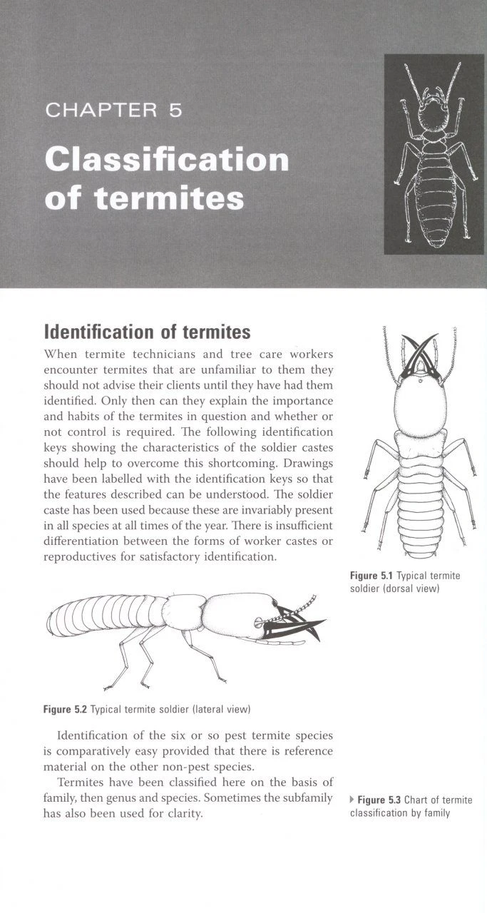 Australian Termites 4 Australian Termites - Image 2