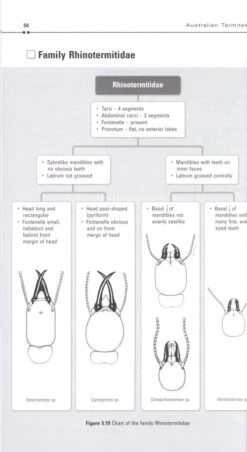 Australian Termites 11 Australian Termites -Wildlife Professional Books 208915 3