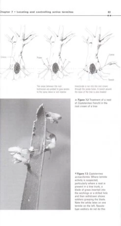 Australian Termites 13 Australian Termites -Wildlife Professional Books 208915 5