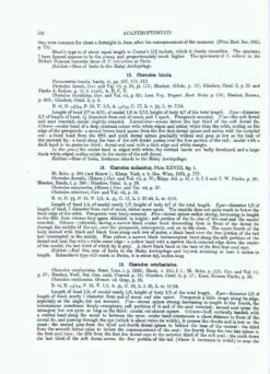 The Fishes Of India (2-Volume Set) -Wildlife Professional Books 209028 2