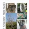 Tree Pests And Diseases 2 Tree Pests And Diseases -Wildlife Professional Books 209098
