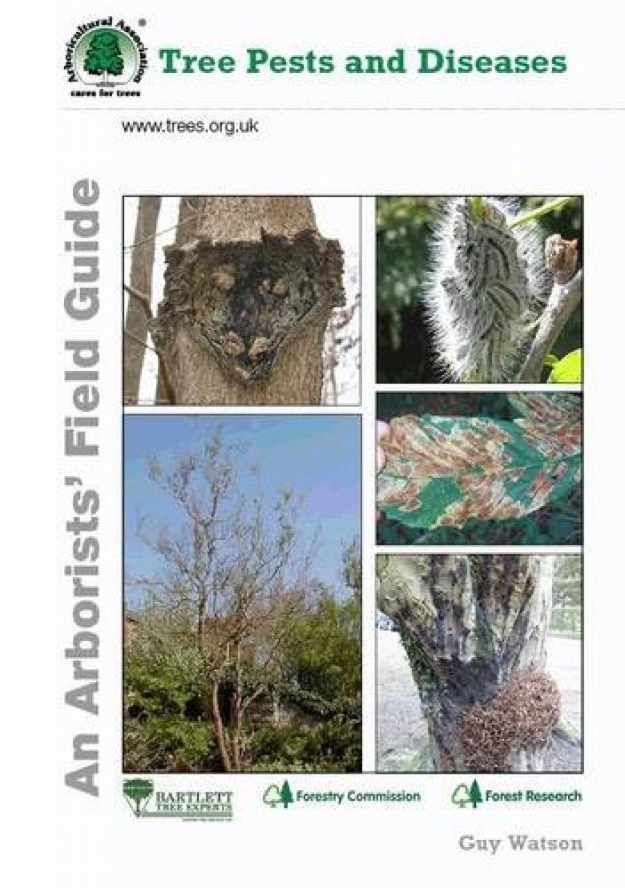 Tree Pests And Diseases 3 Tree Pests And Diseases