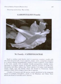 Flora Of Madhya Pradesh (Western Part) 9 Flora Of Madhya Pradesh (Western Part) -Wildlife Professional Books 209171 2