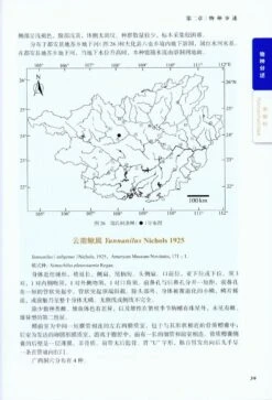 Cave Fishes Of Guangxi, China [Chinese] -Wildlife Professional Books 209378 1