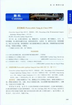 Cave Fishes Of Guangxi, China [Chinese] -Wildlife Professional Books 209378 4