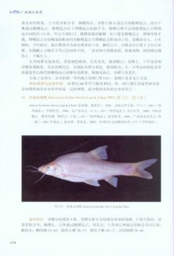 Cave Fishes Of Guangxi, China [Chinese] -Wildlife Professional Books 209378 5