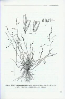 Flora Kunlunica, Volume 4 [Chinese] -Wildlife Professional Books 209379 2