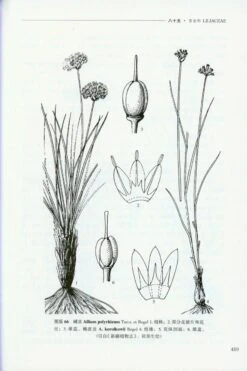 Flora Kunlunica, Volume 4 [Chinese] -Wildlife Professional Books 209379 4