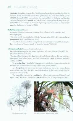 Messages From The Gods -Wildlife Professional Books 210188 1