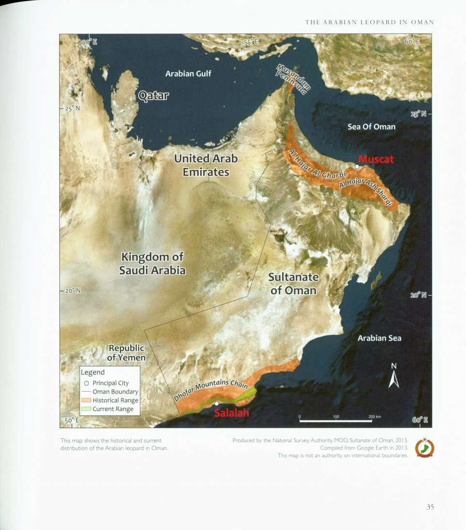 The Arabian Leopards Of Oman 5 The Arabian Leopards Of Oman - Image 3