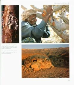 The Arabian Leopards Of Oman 16 The Arabian Leopards Of Oman -Wildlife Professional Books 211249 6