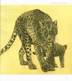 The Arabian Leopards Of Oman 17 The Arabian Leopards Of Oman -Wildlife Professional Books 211249 7