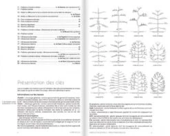 Flora Gallica: Flore De France -Wildlife Professional Books 211399 2