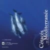 Cétacés En Méditerranée -Wildlife Professional Books 211443