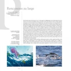 Cétacés En Méditerranée 10 Cétacés En Méditerranée -Wildlife Professional Books 211443 3