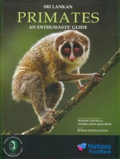 Sri Lankan Primates