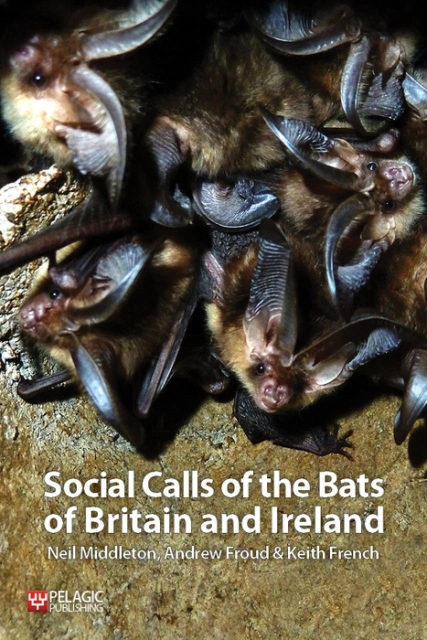 Social Calls Of The Bats Of Britain And Ireland 3 Social Calls Of The Bats Of Britain And Ireland