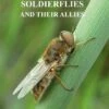 British Soldierflies And Their Allies 1 British Soldierflies And Their Allies -Wildlife Professional Books 212408