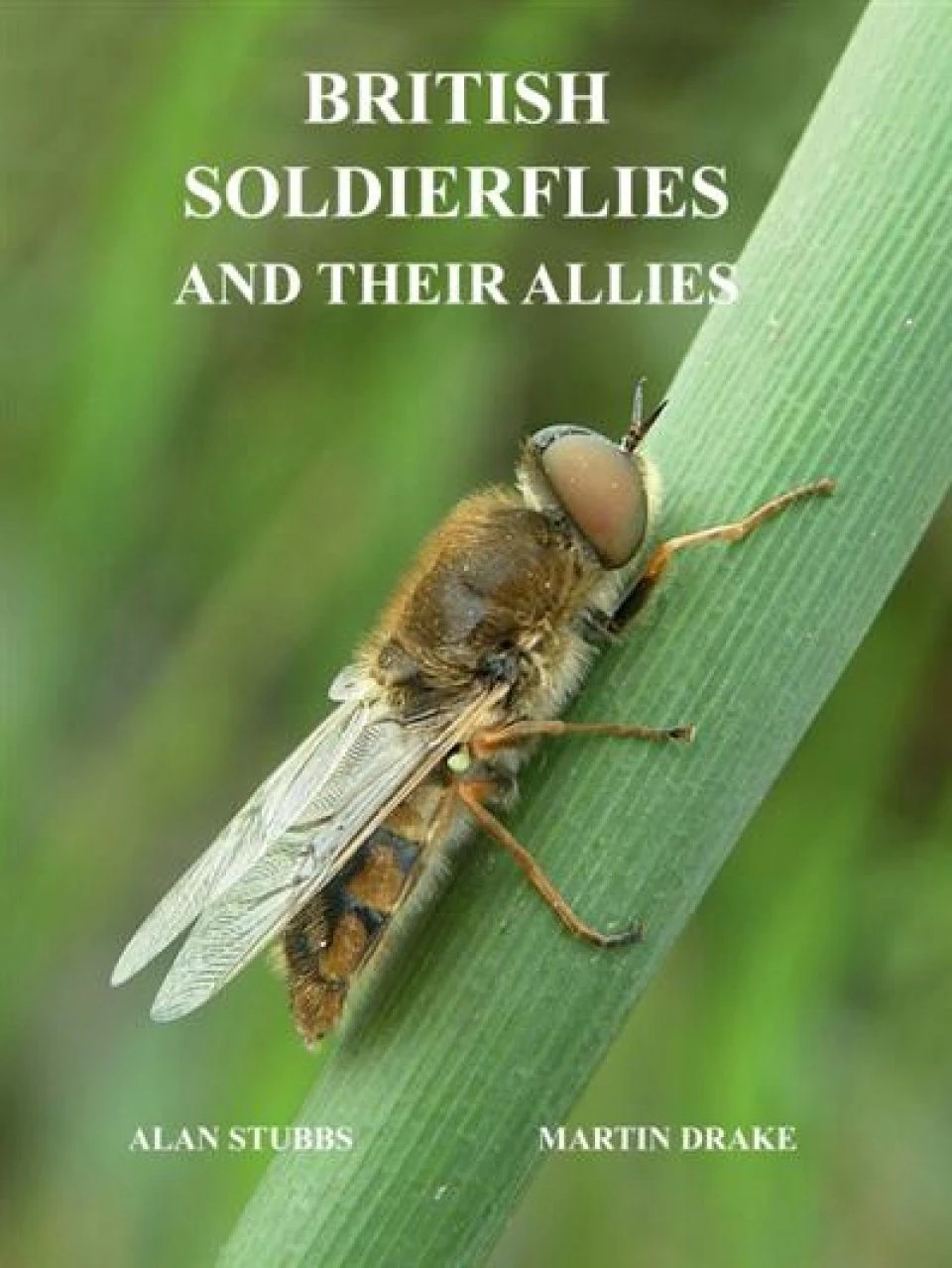 British Soldierflies And Their Allies 3 British Soldierflies And Their Allies